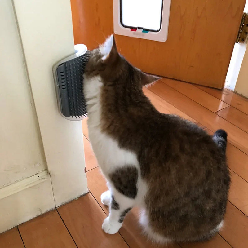 Escova para Gatos - Dispositivo de Massagem com Catnip